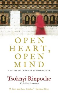 Open Heart, Open Mind (e-bok)