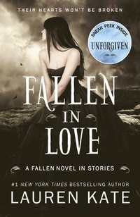 Fallen in Love (e-bok)