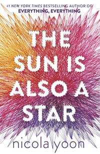 Sun is also a Star (e-bok)
