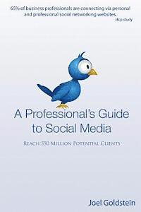 A Professionals Guide to Social Media: The complete step by step guide for an entrepreneur (hftad)