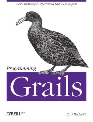 Programming Grails (hftad)
