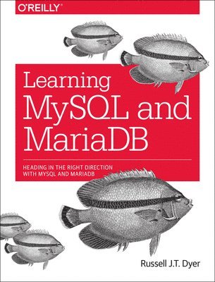 Learning MySQL and MariaDB (häftad)