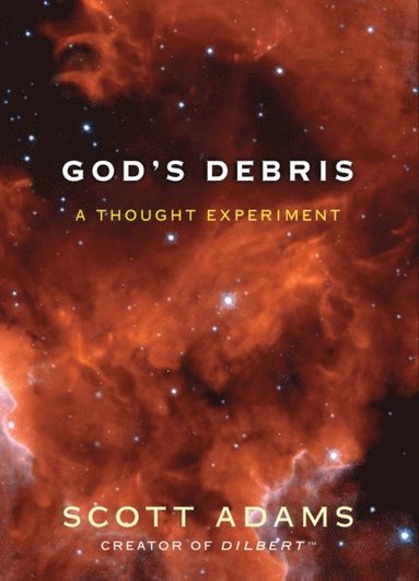 God's Debris (häftad)
