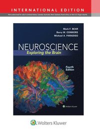 Neuroscience (inbunden)