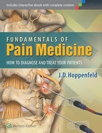 Fundamentals of Pain Medicine (inbunden)
