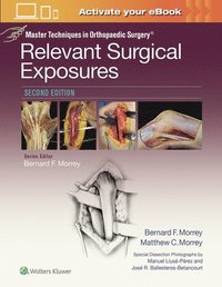 Master Techniques in Orthopaedic Surgery: Relevant Surgical Exposures (inbunden)