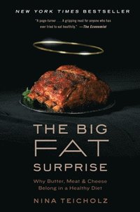 Big Fat Surprise (e-bok)