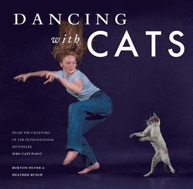 Dancing with Cats (inbunden)