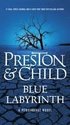 Blue Labyrinth