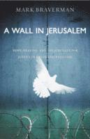 Wall in Jerusalem (hftad)