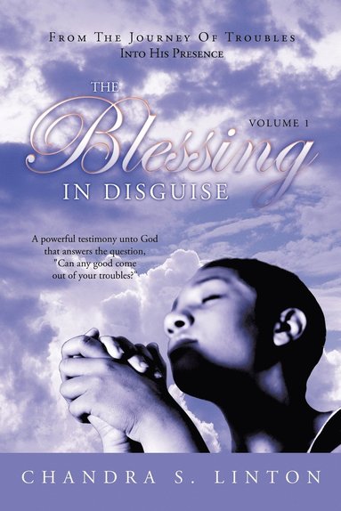 Blessing In Disguise (häftad)