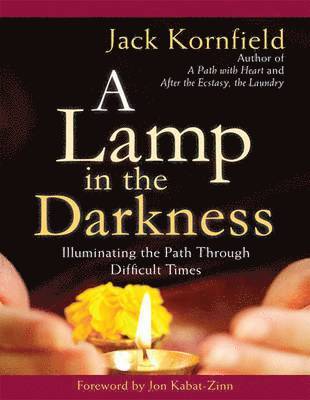 A Lamp in the Darkness (1 Volume Set) (hftad)