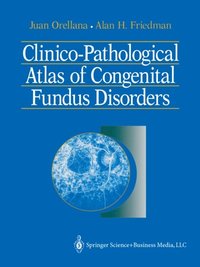Clinico-Pathological Atlas of Congenital Fundus Disorders (e-bok)