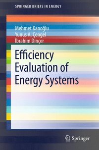 Efficiency Evaluation of Energy Systems (e-bok)