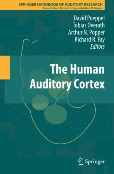 Human Auditory Cortex (e-bok)