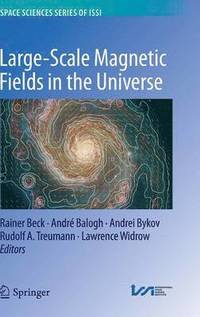Large-scale Magnetic Fields in the Universe (inbunden)