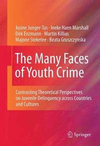 The Many Faces of Youth Crime (hftad)