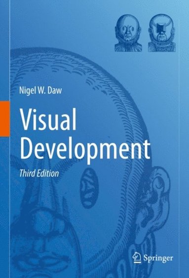 Visual Development (e-bok)