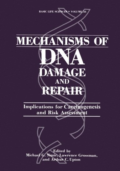 Mechanisms of DNA Damage and Repair (inbunden)