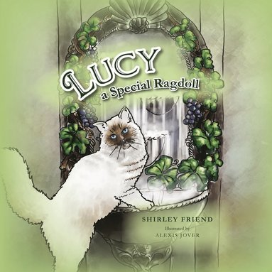 Lucy a Special Ragdoll (hftad)