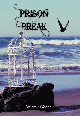 Prison Break (hftad)