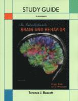 Study Guide for Introduction to Brain and Behavior (häftad)