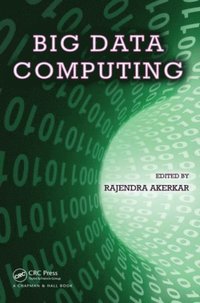 Big Data Computing (e-bok)