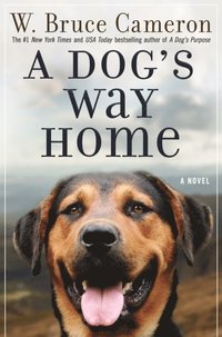 Dog's Way Home (e-bok)