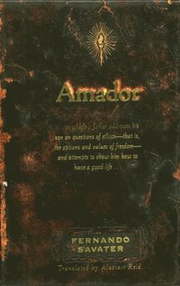 Amador (e-bok)