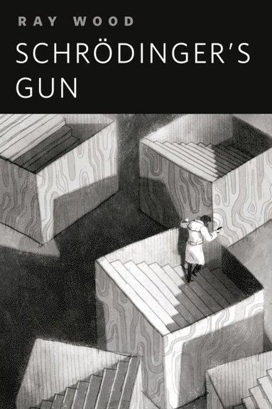 Schrodinger's Gun (häftad)