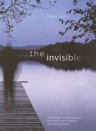 Invisible (e-bok)