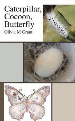 Caterpillar, Cocoon, Butterfly (häftad)