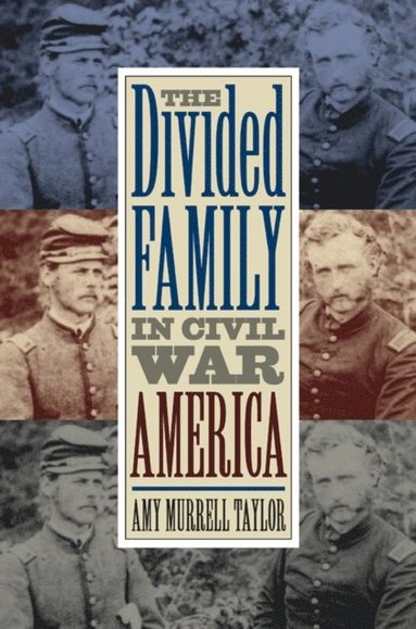 Divided Family in Civil War America (e-bok)