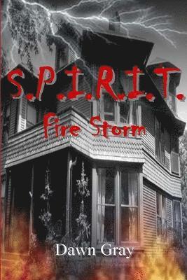 S.P.I.R.I.T (häftad)