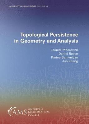 Topological Persistence in Geometry and Analysis (hftad)