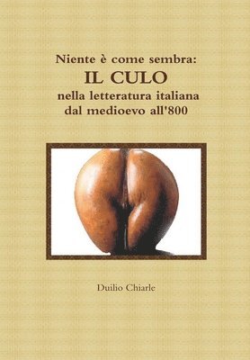 Niente  come sembra: IL CULO nella letteratura italiana dal medioevo all'800 (hftad)