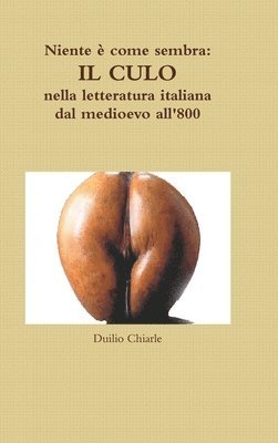 Niente  come sembra: IL CULO nella letteratura italiana dal medioevo all'800 (hftad)