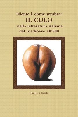Niente  come sembra: IL CULO nella letteratura italiana dal medioevo all'800 (hftad)