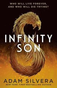Infinity Son (häftad)