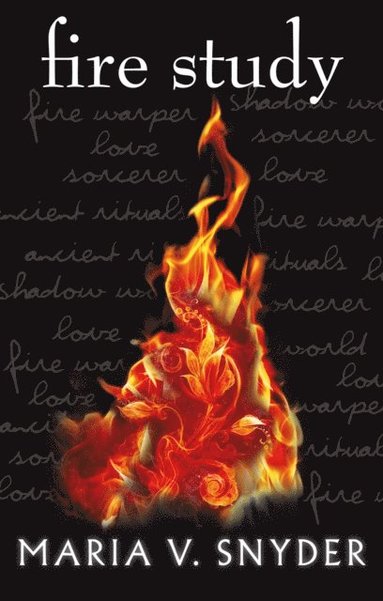 Fire Study (häftad)
