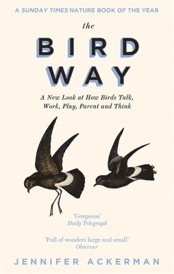 Bird Way (hftad)