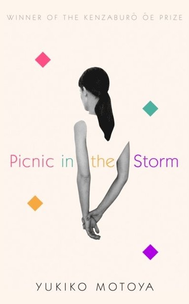 Picnic in the Storm (e-bok)