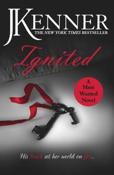 Ignited: Most Wanted Book 3 (e-bok)