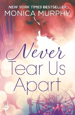 Never Tear Us Apart: Never Series 1 (häftad)
