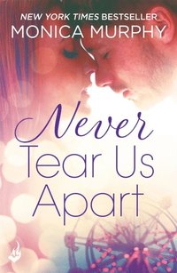 Never Tear Us Apart: Never Series 1 (e-bok)