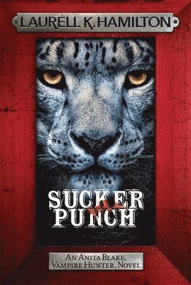 Sucker Punch (häftad)