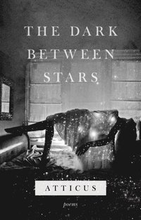 Dark Between Stars (e-bok)