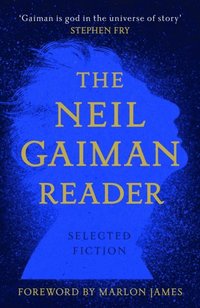 Neil Gaiman Reader (e-bok)