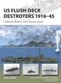 US Flush-Deck Destroyers 1916?45 (e-bok)