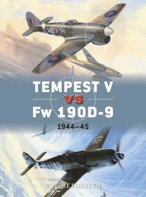 Tempest V vs Fw 190D-9 (hftad)